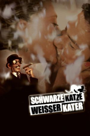 Schwarze Katze, weißer Kater hdfilme stream online
