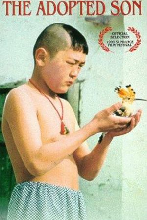 Der Fremde Sohn poster