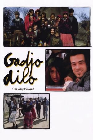 Gadjo Dilo - Geliebter Fremder poster