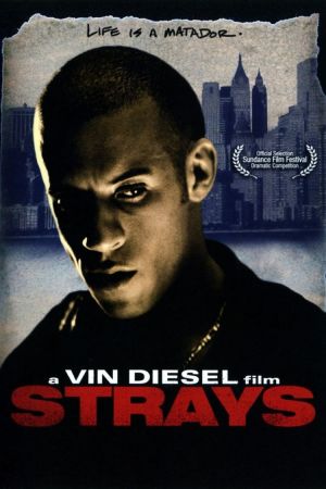 Strays – Lebe Dein Leben hdfilme stream online