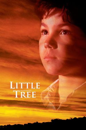 Indianersommer - Die Abenteuer des kleinen Indianerjungen Little Tree poster