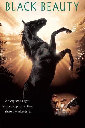 Black Beauty poster