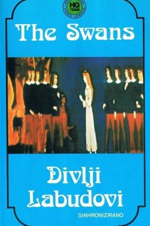 Swans poster