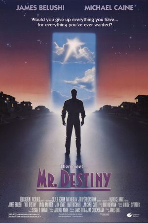 Mr. Destiny hdfilme stream online