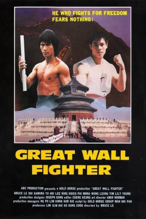 Ninja Over the Great Wall poster