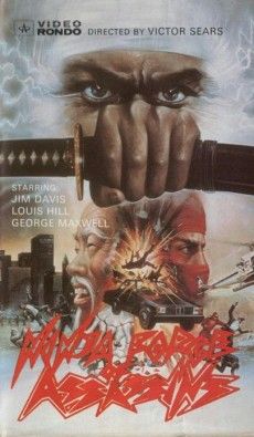 Vietnam Warrior poster