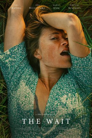 Mittsommerlust poster