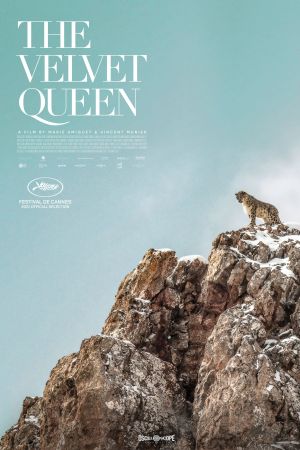 Der Schneeleopard poster
