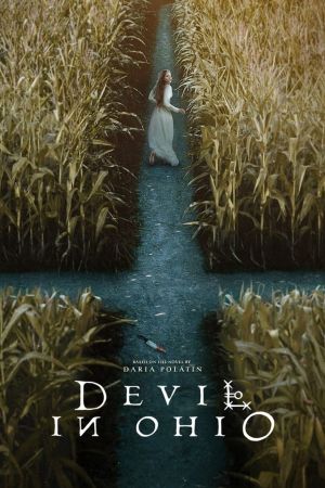 Devil in Ohio poster