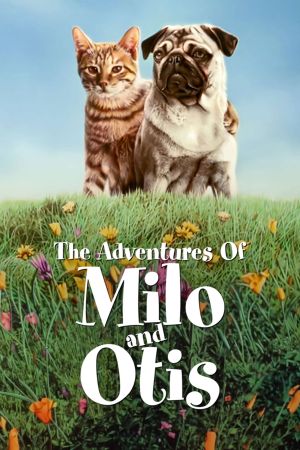 Miez und Mops - Zwei tierische Freunde poster