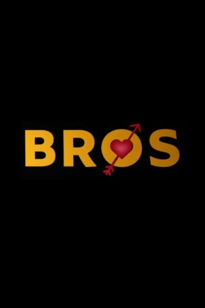 Bros poster