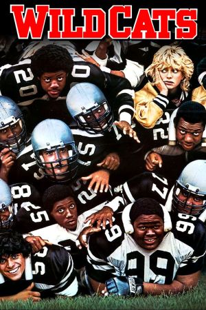 American Wildcats poster