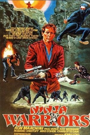 American Ninja poster