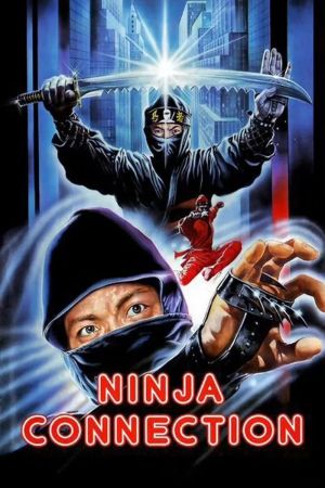 Ninja Connection hdfilme stream online