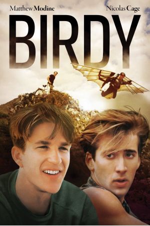 Birdy poster