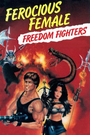 Mad Fighters poster
