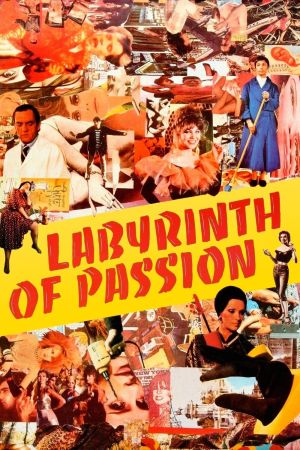 Labyrinth der Leidenschaften poster