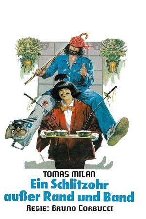 Ein Schlitzohr außer Rand und Band poster