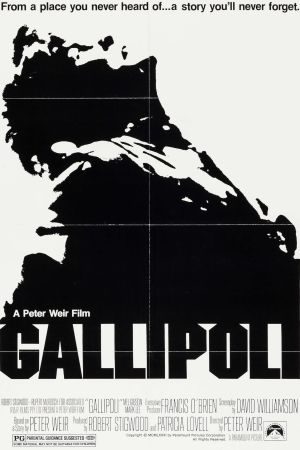 Gallipoli poster