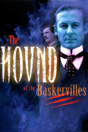Der Hund der Baskervilles poster