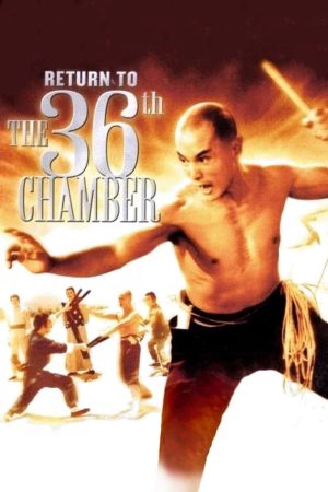 Die Rückkehr zu den 36 Kammern der Shaolin poster