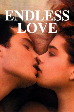 Endlose Liebe poster