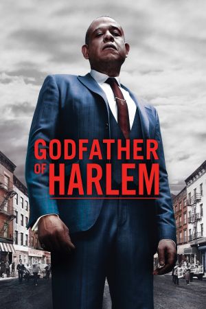 Godfather of Harlem poster