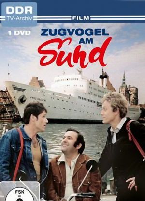 Zugvogel am Sund poster