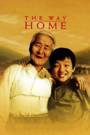 The Way Home - Wege nach Hause poster