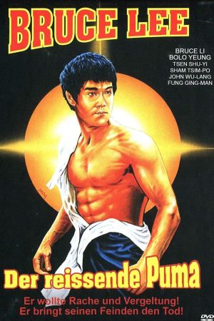 Bruce Lee - Der reißende Puma poster