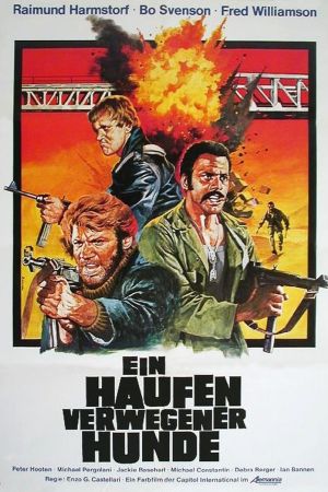 Ein Haufen verwegener Hunde poster
