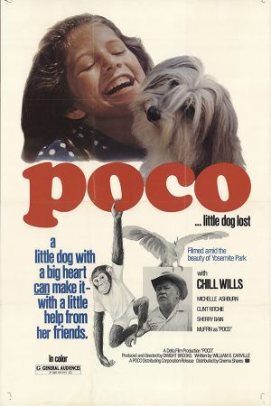 Vier treue Pfoten hdfilme stream online
