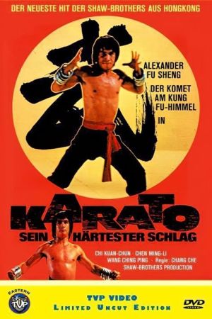 Karato - Sein härtester Schlag poster