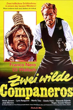 Zwei wilde Companeros poster