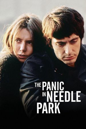Panik im Needle Park poster