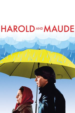 Harold und Maude poster