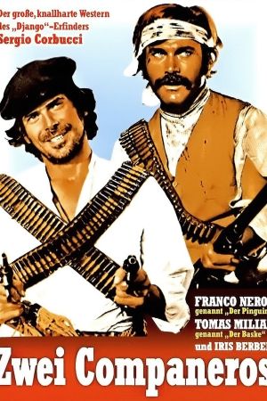 Zwei Companeros poster