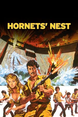 Das Wespennest poster