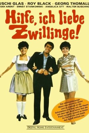 Hilfe, ich liebe Zwillinge! poster