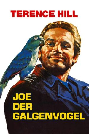 Django und die Bande der Gehenkten poster