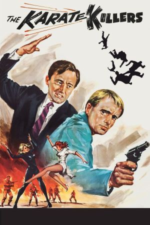 Die Karate Killer poster