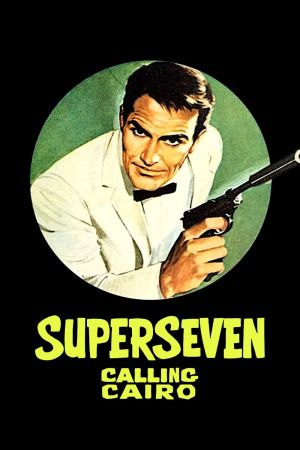 Höllenhunde des Secret Service poster