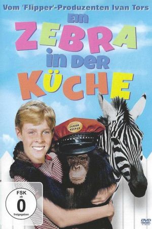 Ein Zebra in der Küche poster
