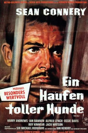 Ein Haufen toller Hunde poster
