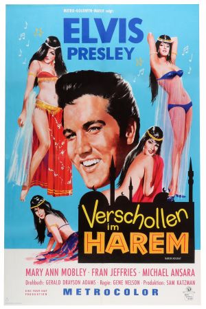 Verschollen im Harem poster