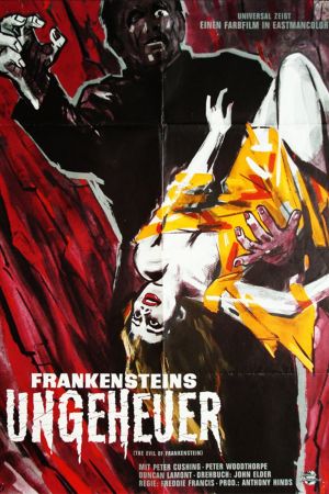 Frankensteins Ungeheuer poster