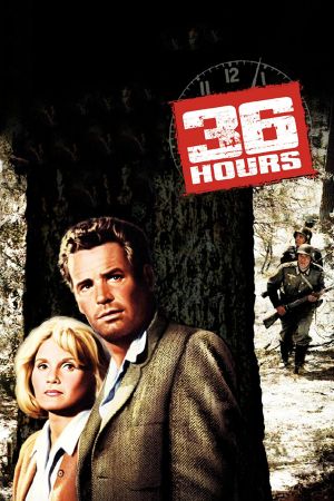 36 Stunden poster