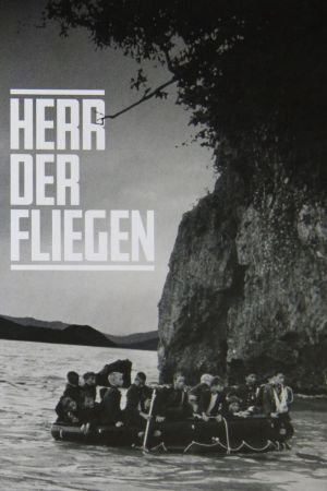 Herr der Fliegen poster