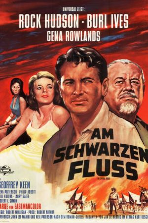 Am schwarzen Fluß poster