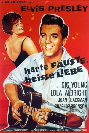 Harte Fäuste, heiße Liebe poster